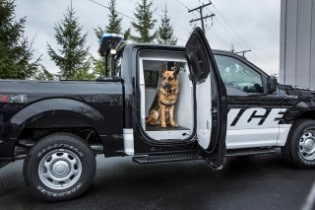 2016 F-150 Special Service Vehicle package
